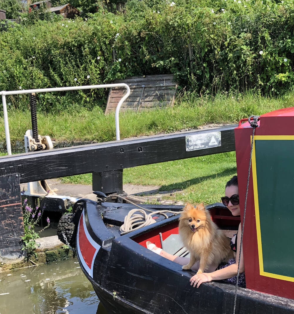 dog friendly boat tours near me